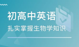 煙臺中小學(xué)英語