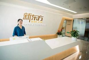 新東方中小學(xué)培訓(xùn)加盟怎么樣